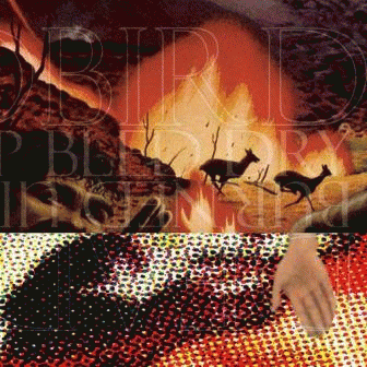 Deadbird : Deadbird - Burned Up Bled Dry